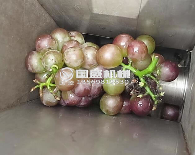 葡萄釀酒設(shè)(shè)備 葡萄釀酒設(shè)(shè)備