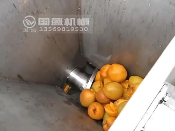 果汁壓榨機(jī)(jī)