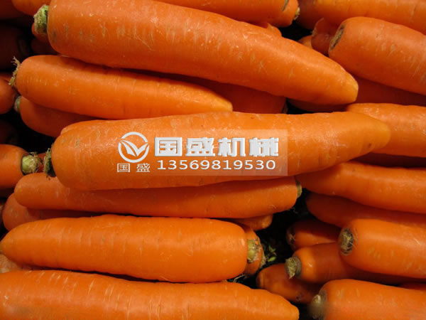 國(guó)盛胡蘿卜脫水?dāng)D壓機(jī)(jī) 國(guó)盛胡蘿卜脫水?dāng)D壓機(jī)(jī)