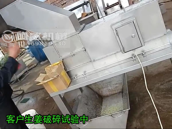 生姜破碎機(jī)(jī) 生姜破碎機(jī)(jī)