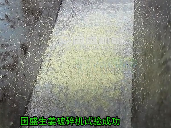 粉碎姜的機(jī)(jī)器 粉碎姜的機(jī)(jī)器
